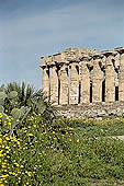 Selinunte the temple hill - Temple E. Perhaps dedicated to Era (Juno), (V c BC), it was reconstructed in the mid-fifties with  the anastylosis method.